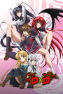 Высшая школа DxD (2012)