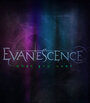 Evanescence: What You Want (2011) скачать бесплатно в хорошем качестве без регистрации и смс 1080p