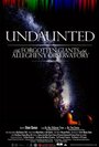 Undaunted: The Forgotten Giants of the Allegheny Observatory (2012) скачать бесплатно в хорошем качестве без регистрации и смс 1080p