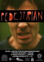 Pedestrian (2013) скачать бесплатно в хорошем качестве без регистрации и смс 1080p