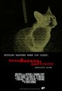 ParaAnormal CatTivity (2011) скачать бесплатно в хорошем качестве без регистрации и смс 1080p