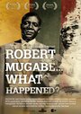 Robert Mugabe... What Happened? (2011) скачать бесплатно в хорошем качестве без регистрации и смс 1080p