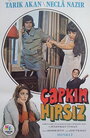 Çapkin hirsiz (1975) кадры фильма смотреть онлайн в хорошем качестве