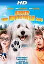 Abner, the Invisible Dog (2013) кадры фильма смотреть онлайн в хорошем качестве