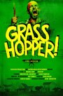 Grasshopper! (2012) скачать бесплатно в хорошем качестве без регистрации и смс 1080p