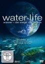 Водная жизнь (2009) скачать бесплатно в хорошем качестве без регистрации и смс 1080p