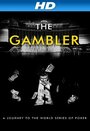 The Gambler (2013)