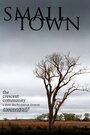 Small Town: the Crescent Community (2013) скачать бесплатно в хорошем качестве без регистрации и смс 1080p