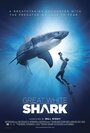 Great White Shark (2013) скачать бесплатно в хорошем качестве без регистрации и смс 1080p