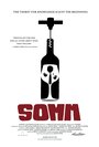 Somm (2012) кадры фильма смотреть онлайн в хорошем качестве