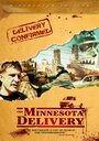 The Minnesota Delivery (2015) скачать бесплатно в хорошем качестве без регистрации и смс 1080p