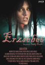 Erzsébet (2013) скачать бесплатно в хорошем качестве без регистрации и смс 1080p