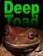 Deep Toad (2003) скачать бесплатно в хорошем качестве без регистрации и смс 1080p Deep Toad (2003) скачать бесплатно в хорошем качестве без регистрации и смс 1080p