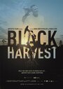 Black Harvest (2014) кадры фильма смотреть онлайн в хорошем качестве Black Harvest (2014) кадры фильма смотреть онлайн в хорошем качестве