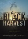 Black Harvest (2014) кадры фильма смотреть онлайн в хорошем качестве