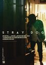 Stray Dog (2013) скачать бесплатно в хорошем качестве без регистрации и смс 1080p