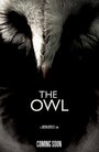 The Owl (2014) скачать бесплатно в хорошем качестве без регистрации и смс 1080p