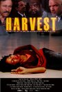 Harvest (2010)