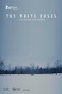 As Rosas Brancas (2014) скачать бесплатно в хорошем качестве без регистрации и смс 1080p As Rosas Brancas (2014) скачать бесплатно в хорошем качестве без регистрации и смс 1080p