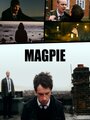 Magpie (2013) скачать бесплатно в хорошем качестве без регистрации и смс 1080p