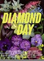 Diamond Day (2015) скачать бесплатно в хорошем качестве без регистрации и смс 1080p Diamond Day (2015) скачать бесплатно в хорошем качестве без регистрации и смс 1080p