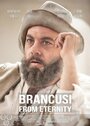 Brancusi Din Eternitate (2014) кадры фильма смотреть онлайн в хорошем качестве