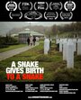 A Snake Gives Birth to a Snake (2014) скачать бесплатно в хорошем качестве без регистрации и смс 1080p A Snake Gives Birth to a Snake (2014) скачать бесплатно в хорошем качестве без регистрации и смс 1080p