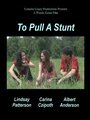 To Pull a Stunt (2013)