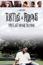 Turtles & Pigeons (2014) кадры фильма смотреть онлайн в хорошем качестве