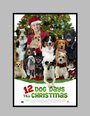 12 Dog Days of Christmas (2014) скачать бесплатно в хорошем качестве без регистрации и смс 1080p