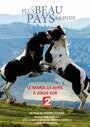 Le plus beau pays du monde 2 (2015) кадры фильма смотреть онлайн в хорошем качестве