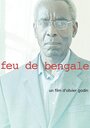 Feu de Bengale (2014) скачать бесплатно в хорошем качестве без регистрации и смс 1080p