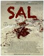 Sal (2014) скачать бесплатно в хорошем качестве без регистрации и смс 1080p