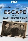 Escape From a Nazi Death Camp (2014) кадры фильма смотреть онлайн в хорошем качестве