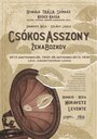 Csókos asszony (2010) скачать бесплатно в хорошем качестве без регистрации и смс 1080p