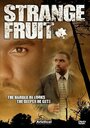 Strange Fruit (2004) скачать бесплатно в хорошем качестве без регистрации и смс 1080p