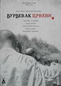 Djurdjevak crveni (2015) скачать бесплатно в хорошем качестве без регистрации и смс 1080p