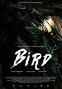 Bird (2015) кадры фильма смотреть онлайн в хорошем качестве