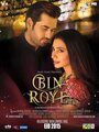 Bin Roye (2015) трейлер фильма в хорошем качестве 1080p