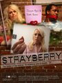 Strayberry (2016) скачать бесплатно в хорошем качестве без регистрации и смс 1080p