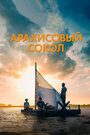 Сокол из арахисовой пасты (2019) скачать бесплатно в хорошем качестве без регистрации и смс 1080p Сокол из арахисовой пасты (2019) скачать бесплатно в хорошем качестве без регистрации и смс 1080p