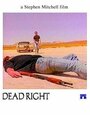 Dead Right (1990) скачать бесплатно в хорошем качестве без регистрации и смс 1080p