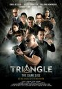 Triangle the Dark Side (2016) скачать бесплатно в хорошем качестве без регистрации и смс 1080p