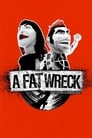 История панк-рока: Fat Wreck Chords (2016)