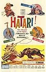 Хатари! (1962)