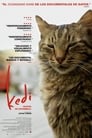 Город кошек / Кот (2016)