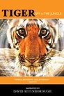 BBC: Тигр — Шпион джунглей (2008)