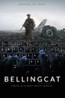 Bellingcat: Правда в мире постправды (2018)