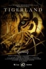 Animal Planet: Спасти тигра (2019)